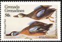 Blue-winged Teal (Spatula discors)